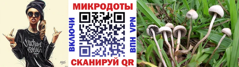 mega ССЫЛКА это формула Сельцо Псилоцибиновые грибы GOLDEN TEACHER где можно купить наркотик